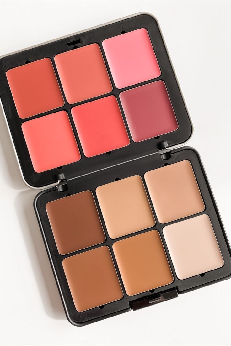 2 in 1 CARLA SECRET CREAM BLUSH AND CONCEALER PALETTE With 12 Shades