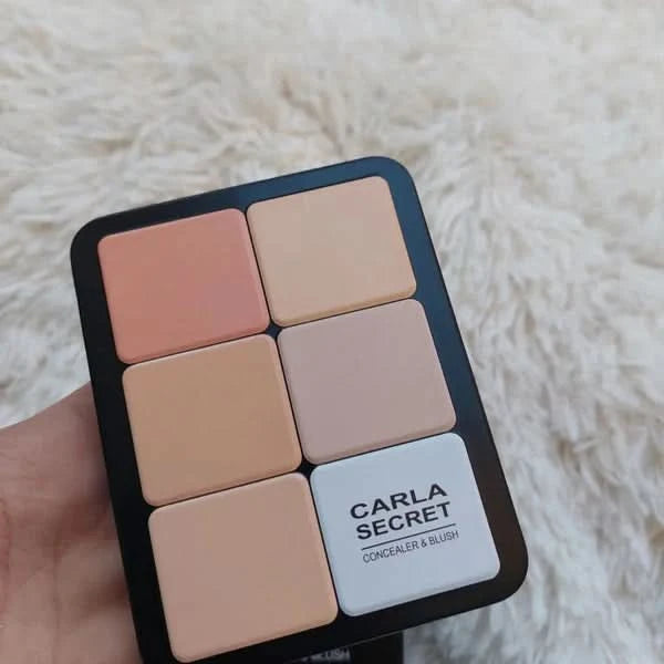 2 in 1 CARLA SECRET CREAM BLUSH AND CONCEALER PALETTE With 12 Shades