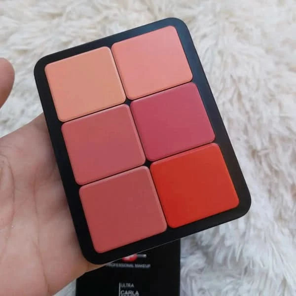 2 in 1 CARLA SECRET CREAM BLUSH AND CONCEALER PALETTE With 12 Shades