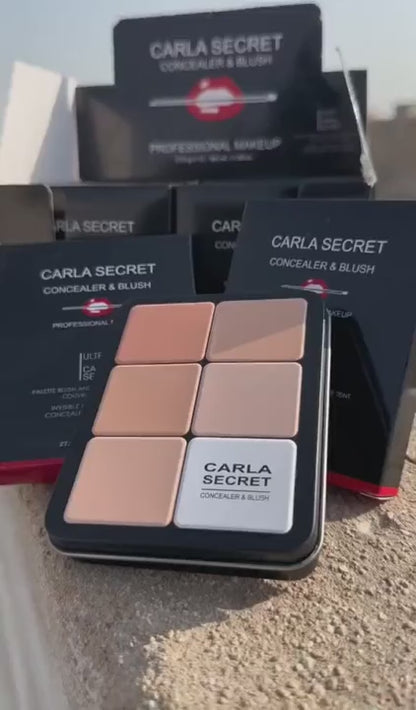 2 in 1 CARLA SECRET CREAM BLUSH AND CONCEALER PALETTE With 12 Shades